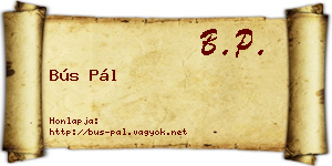 Bús Pál névjegykártya